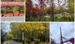 桦南县澜亭水汇最新爆料,揭秘神秘项目背后的真相！”